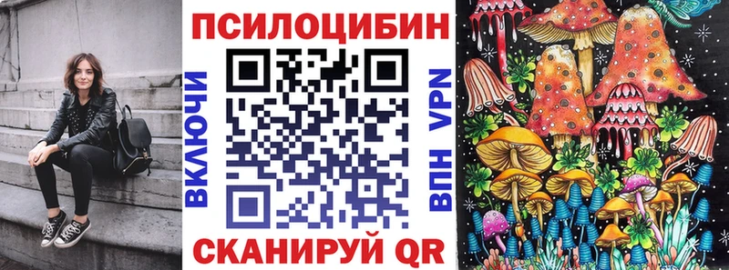 blacksprut ТОР Сурск Галлюциногенные грибы прущие грибы