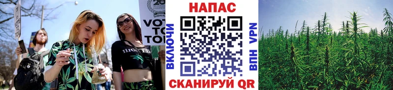 Каннабис Ganja  где купить наркоту  Сурск 